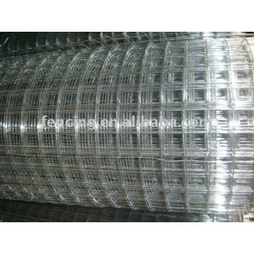 welded mesh(factory)